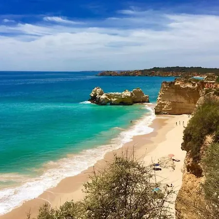 Apartamento Ocean Whisper Da Rocha Pets Welcome